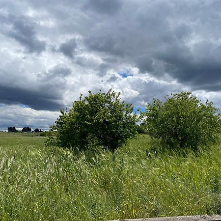 Willa Trulli Del Sole Martina Franca Zewnętrze zdjęcie