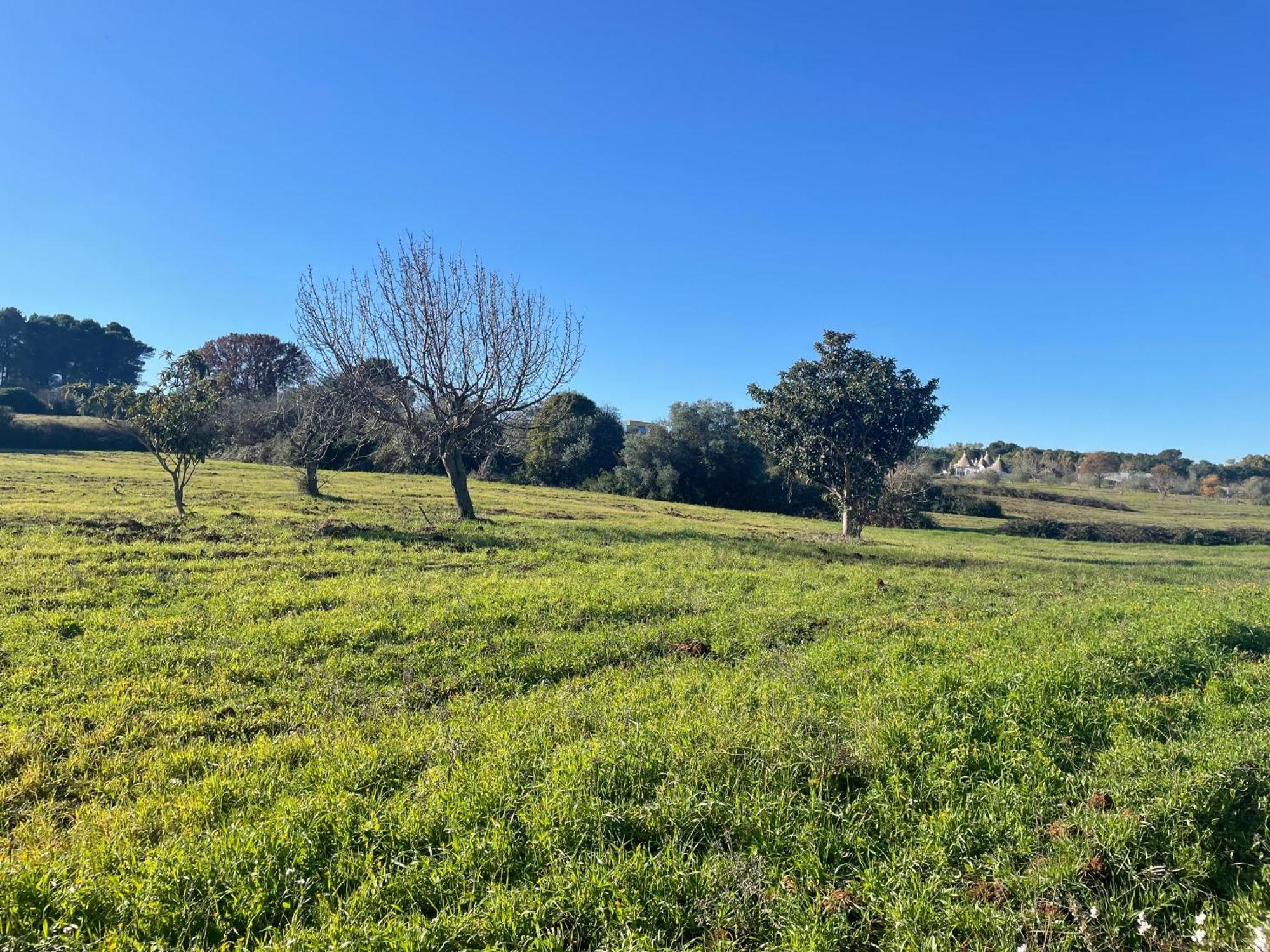 Willa Trulli Del Sole Martina Franca Zewnętrze zdjęcie