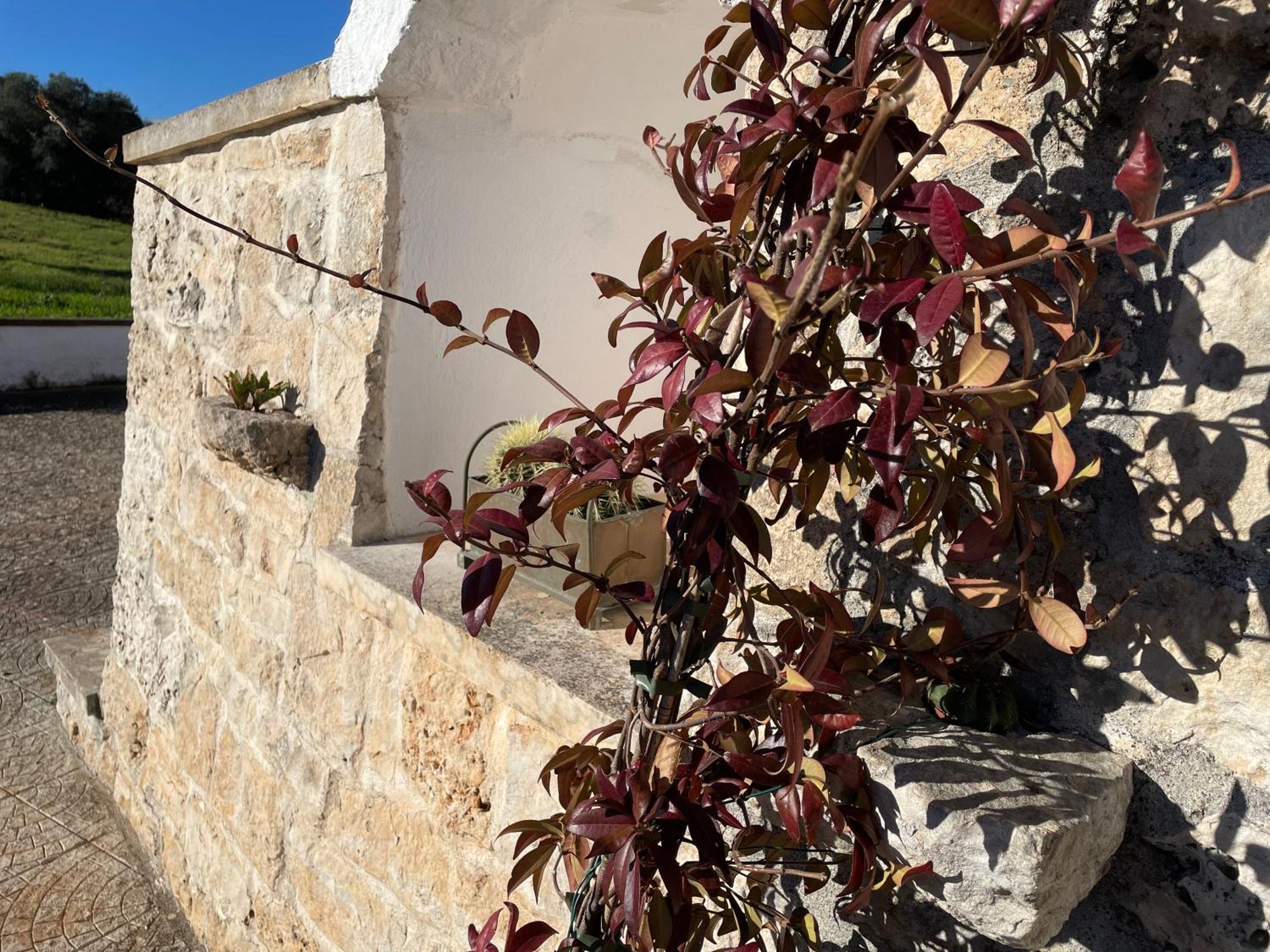 Willa Trulli Del Sole Martina Franca Zewnętrze zdjęcie